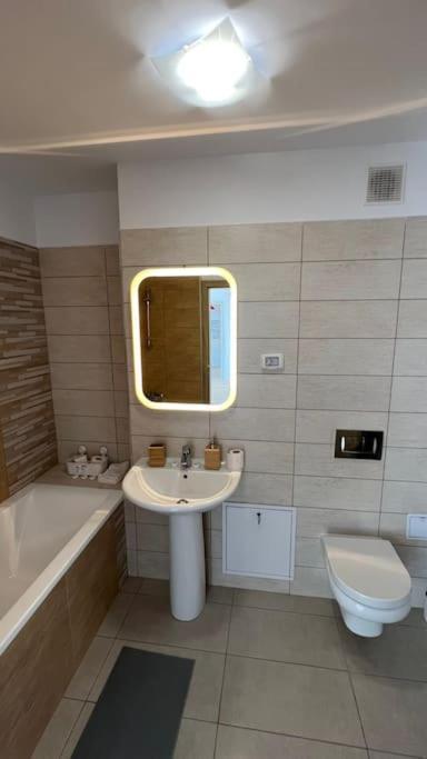 Apartment Teodor ブラショフ エクステリア 写真