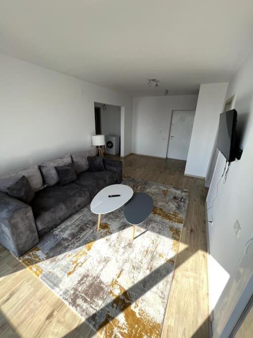 Apartment Teodor ブラショフ エクステリア 写真